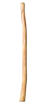 Medium Size Natural Finish Didgeridoo (TW1566)